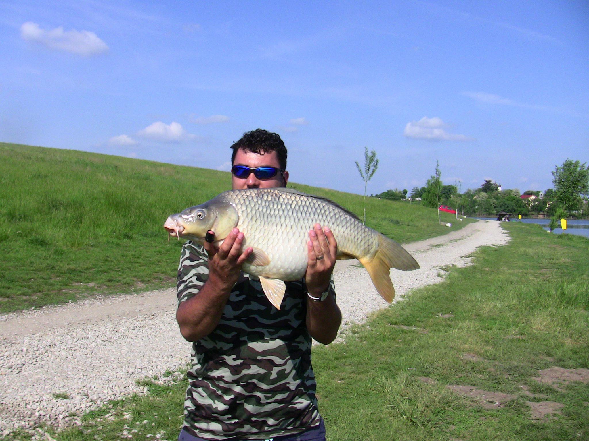 Moara Vlasiei 2012 - IMG_0134.JPG